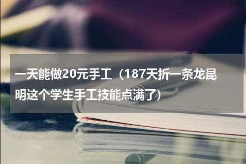 一天能做20元手工（187天折一条龙昆明这个学生手工技能点满了）