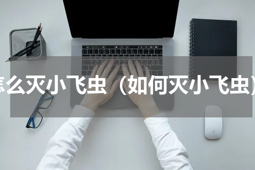 怎么灭小飞虫（如何灭小飞虫）