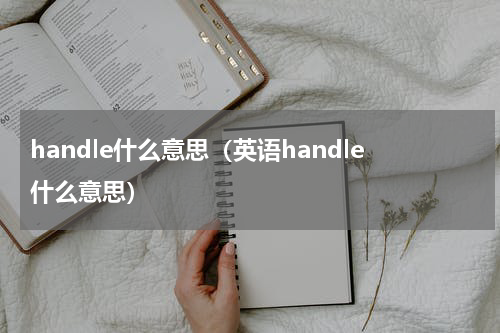 handle什么意思（英语handle什么意思）