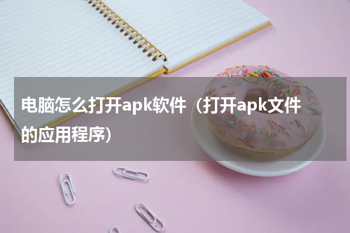 电脑怎么打开apk软件（打开apk文件的应用程序）