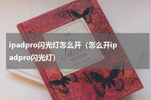 ipadpro闪光灯怎么开（怎么开ipadpro闪光灯）