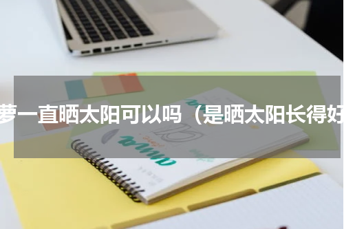 绿萝一直晒太阳可以吗（是晒太阳长得好）