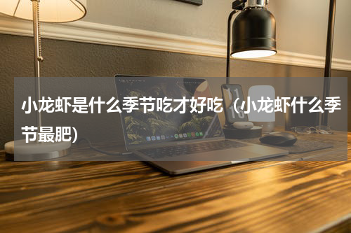 小龙虾是什么季节吃才好吃（小龙虾什么季节最肥）