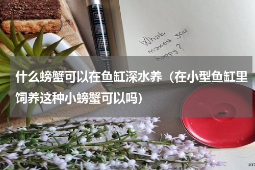 什么螃蟹可以在鱼缸深水养（在小型鱼缸里饲养这种小螃蟹可以吗）