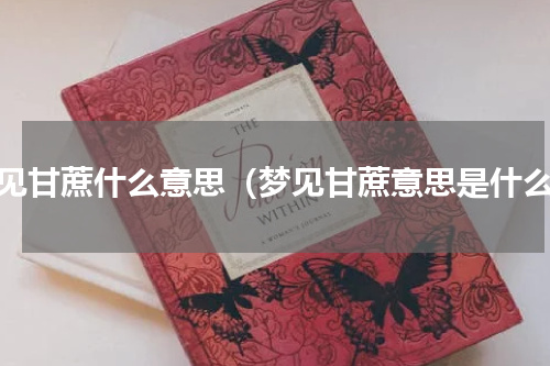 梦见甘蔗什么意思（梦见甘蔗意思是什么）