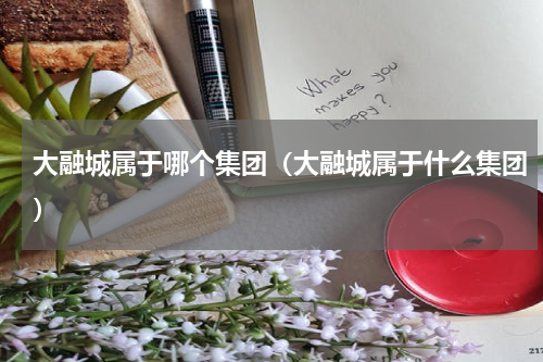 大融城属于哪个集团（大融城属于什么集团）