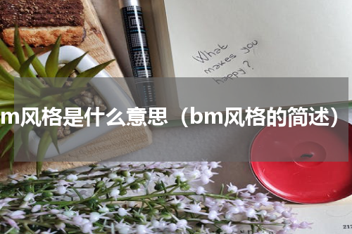 bm风格是什么意思（bm风格的简述）