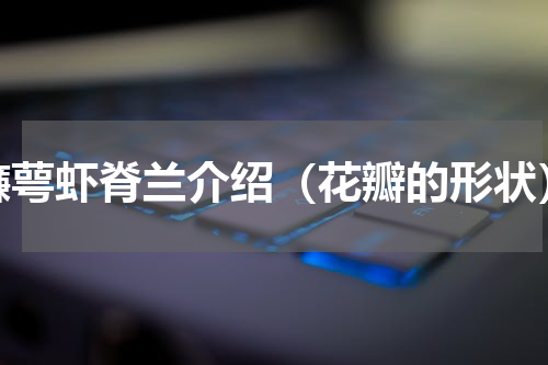 镰萼虾脊兰介绍（花瓣的形状）