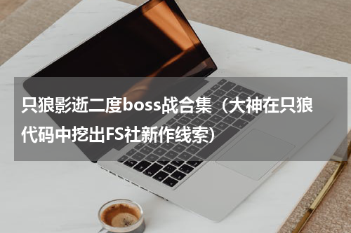 只狼影逝二度boss战合集（大神在只狼代码中挖出FS社新作线索）