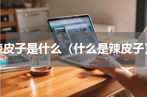 辣皮子是什么（什么是辣皮子）