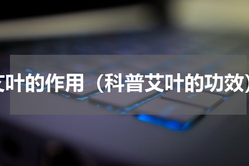 艾叶的作用（科普艾叶的功效）
