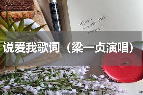 说爱我歌词（梁一贞演唱）