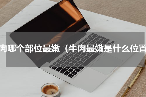 牛肉哪个部位最嫩（牛肉最嫩是什么位置）