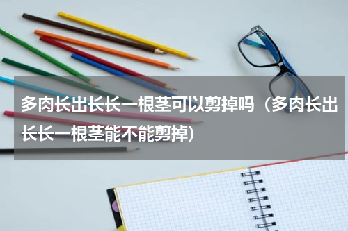 多肉长出长长一根茎可以剪掉吗（多肉长出长长一根茎能不能剪掉）