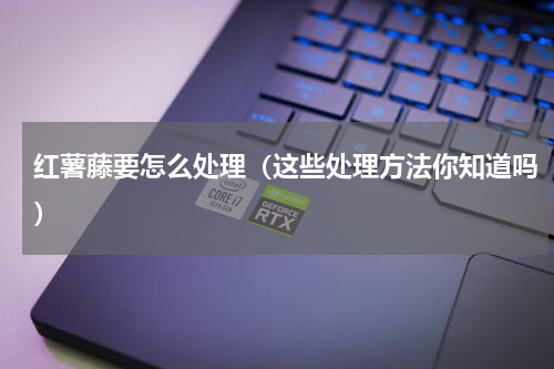红薯藤要怎么处理（这些处理方法你知道吗）