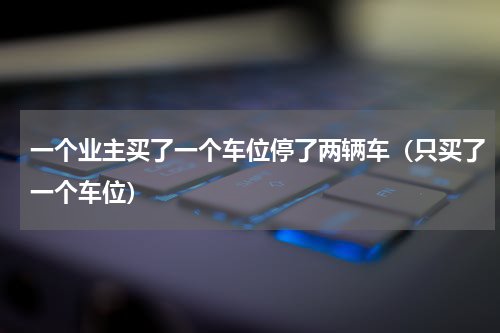 一个业主买了一个车位停了两辆车（只买了一个车位）