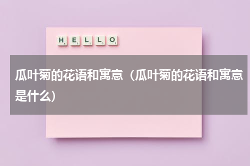 瓜叶菊的花语和寓意（瓜叶菊的花语和寓意是什么）