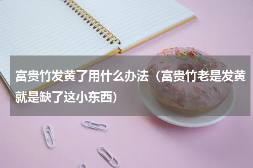 富贵竹发黄了用什么办法（富贵竹老是发黄就是缺了这小东西）