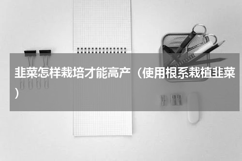 韭菜怎样栽培才能高产（使用根系栽植韭菜）