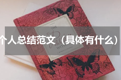 个人总结范文（具体有什么）