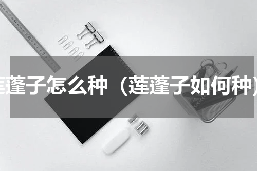 莲蓬子怎么种（莲蓬子如何种）