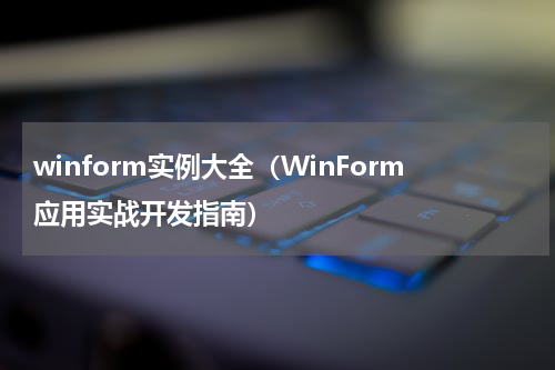 winform实例大全（WinForm应用实战开发指南）