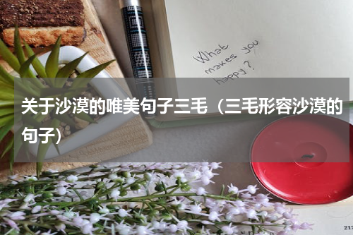 关于沙漠的唯美句子三毛（三毛形容沙漠的句子）