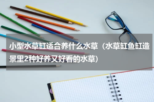 小型水草缸适合养什么水草（水草缸鱼缸造景里2种好养又好看的水草）