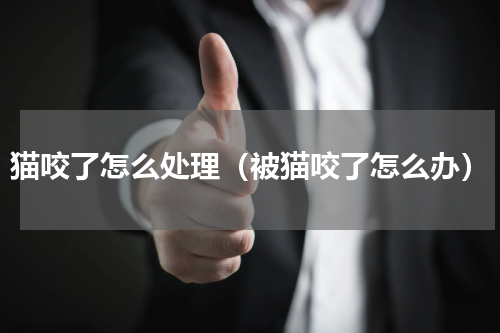 猫咬了怎么处理（被猫咬了怎么办）