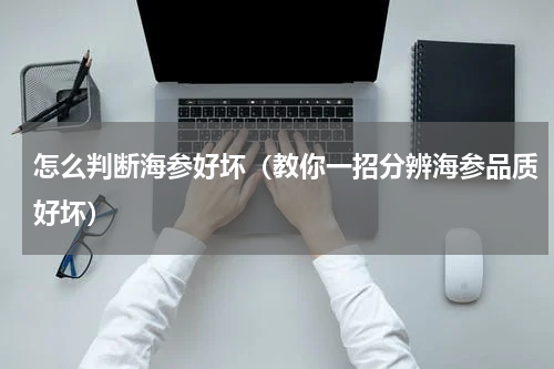怎么判断海参好坏（教你一招分辨海参品质好坏）