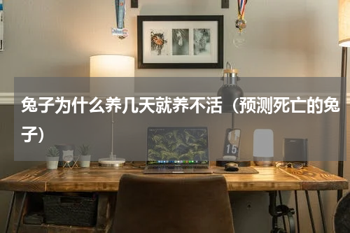 兔子为什么养几天就养不活（预测死亡的兔子）