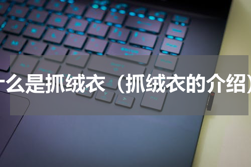 什么是抓绒衣（抓绒衣的介绍）