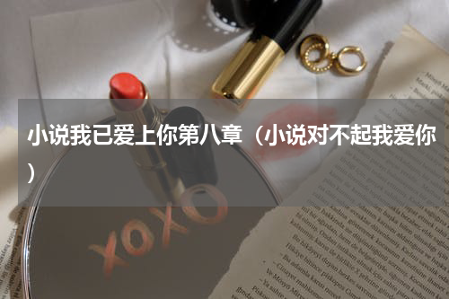 小说我已爱上你第八章（小说对不起我爱你）