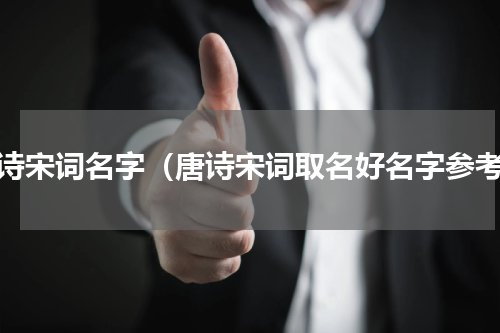 唐诗宋词名字（唐诗宋词取名好名字参考）