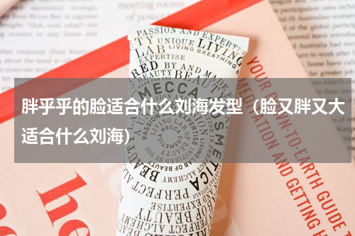 胖乎乎的脸适合什么刘海发型（脸又胖又大适合什么刘海）