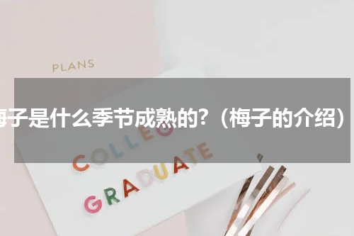 梅子是什么季节成熟的?（梅子的介绍）