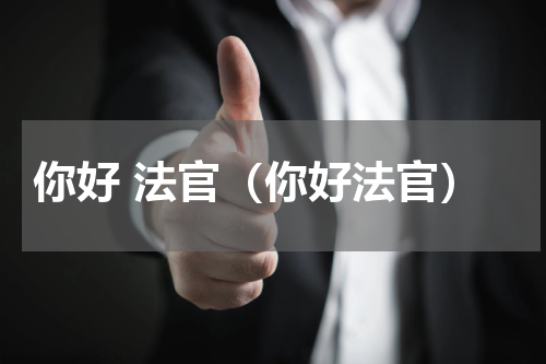 你好 法官（你好法官）