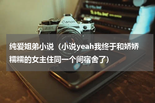 纯爱姐弟小说（小说yeah我终于和娇娇糯糯的女主住同一个间宿舍了）