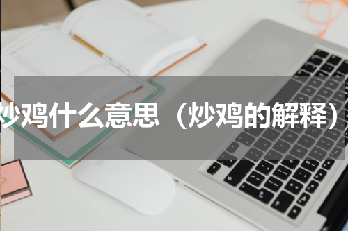 炒鸡什么意思（炒鸡的解释）