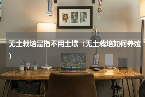 无土栽培是指不用土壤（无土栽培如何养殖）