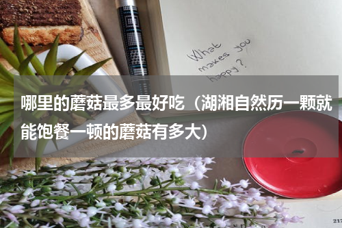 哪里的蘑菇最多最好吃（湖湘自然历一颗就能饱餐一顿的蘑菇有多大）