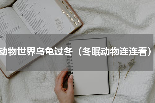 动物世界乌龟过冬（冬眠动物连连看）