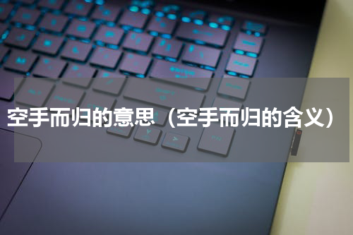 空手而归的意思（空手而归的含义）
