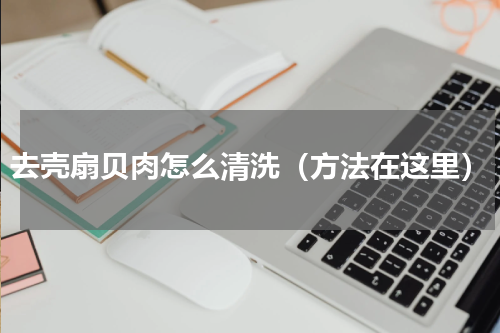 去壳扇贝肉怎么清洗（方法在这里）