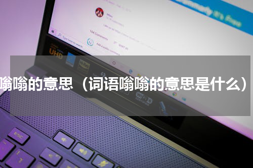 嗡嗡的意思（词语嗡嗡的意思是什么）