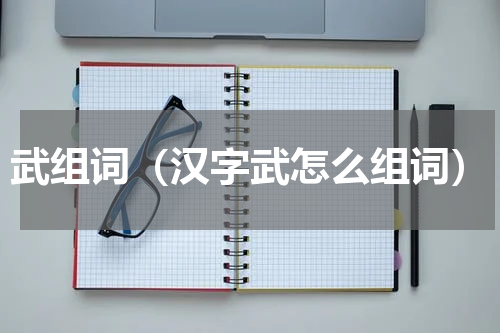 武组词（汉字武怎么组词）