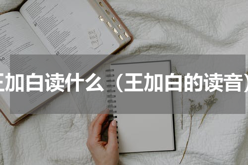 王加白读什么（王加白的读音）
