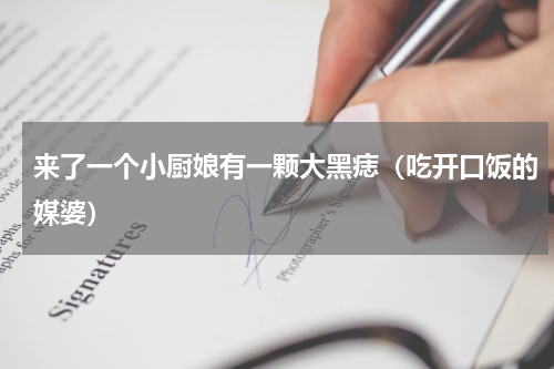 来了一个小厨娘有一颗大黑痣（吃开口饭的媒婆）