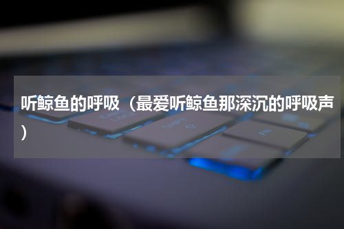 听鲸鱼的呼吸（最爱听鲸鱼那深沉的呼吸声）