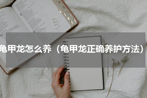 龟甲龙怎么养（龟甲龙正确养护方法）